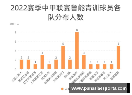 鲁能2014年阵容及其影响：球员动态与赛季表现综述