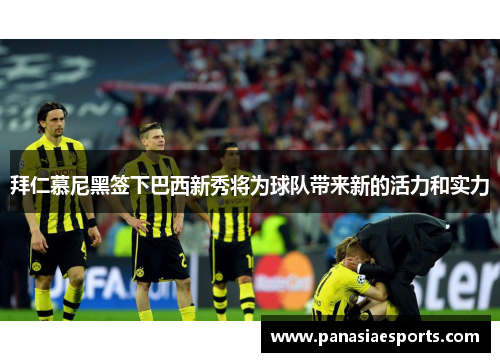 拜仁慕尼黑签下巴西新秀将为球队带来新的活力和实力