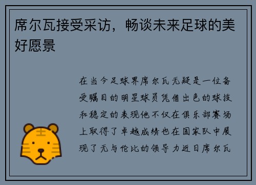 席尔瓦接受采访，畅谈未来足球的美好愿景